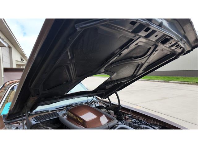 1979 Pontiac Firebird Trans Am (CC-2113321) for sale in Sioux Falls, South Dakota