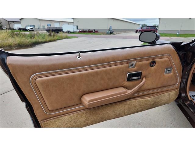 1979 Pontiac Firebird Trans Am (CC-2113321) for sale in Sioux Falls, South Dakota