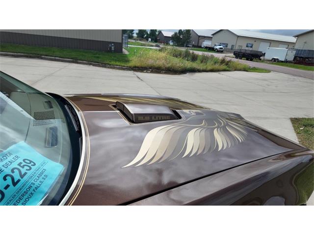 1979 Pontiac Firebird Trans Am (CC-2113321) for sale in Sioux Falls, South Dakota