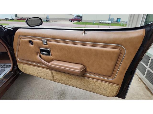 1979 Pontiac Firebird Trans Am (CC-2113321) for sale in Sioux Falls, South Dakota