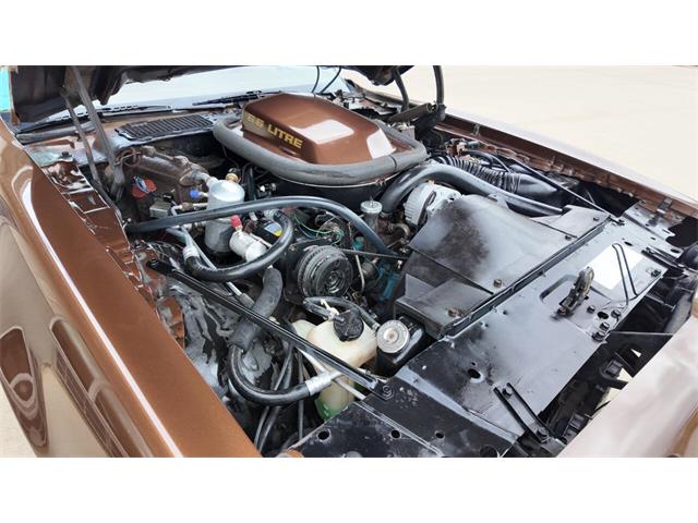 1979 Pontiac Firebird Trans Am (CC-2113321) for sale in Sioux Falls, South Dakota