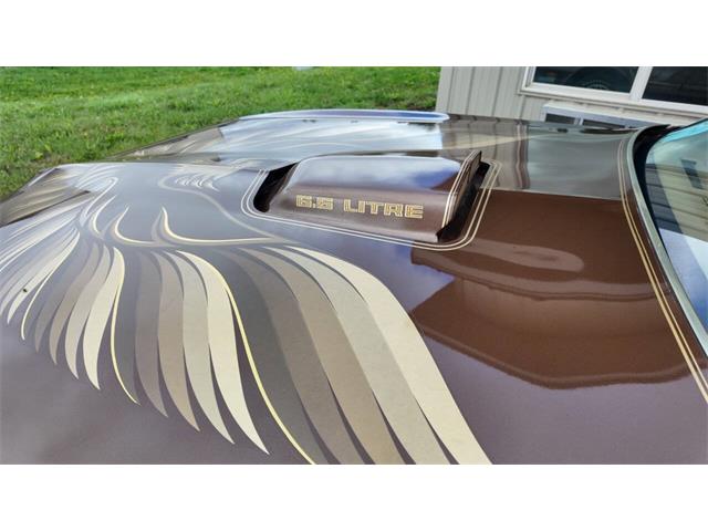 1979 Pontiac Firebird Trans Am (CC-2113321) for sale in Sioux Falls, South Dakota