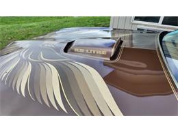 1979 Pontiac Firebird Trans Am (CC-2113321) for sale in Sioux Falls, South Dakota
