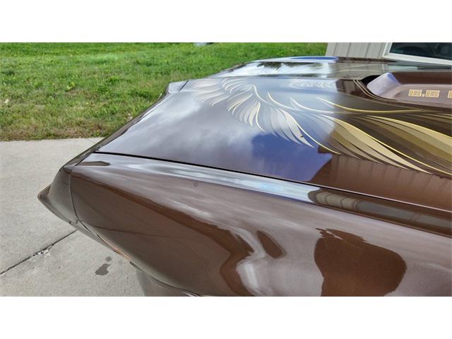 1979 Pontiac Firebird Trans Am (CC-2113321) for sale in Sioux Falls, South Dakota