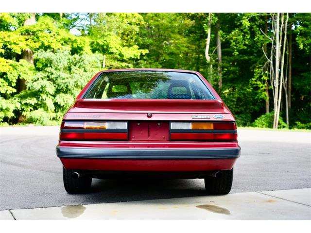 1985 Ford Mustang (CC-2113348) for sale in Saugatuck, Michigan