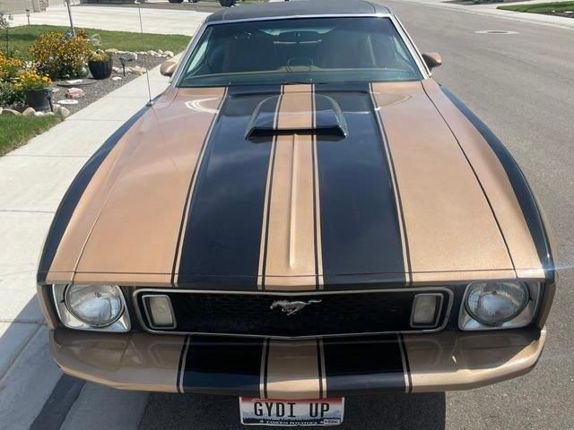 1973 Ford Mustang (CC-2113474) for sale in Glendale, California