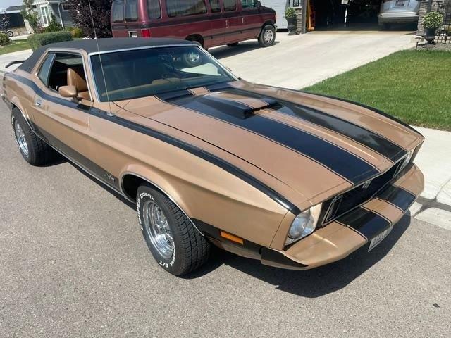 1973 Ford Mustang (CC-2113474) for sale in Glendale, California