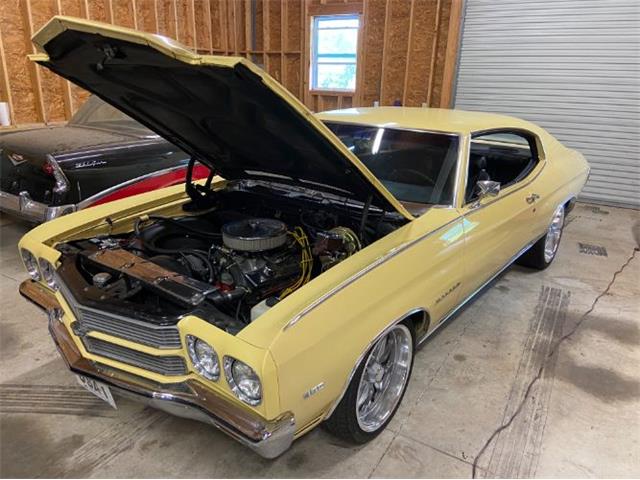 1970 Chevrolet Chevelle (CC-2110351) for sale in Cadillac, Michigan