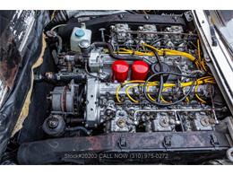 1973 Ferrari 365 GT 2 plus 2 (CC-2113528) for sale in Beverly Hills, California