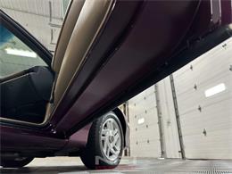 1995 Chevrolet Camaro (CC-2113663) for sale in North East, Pennsylvania