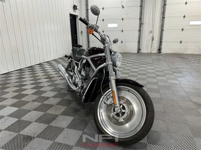 2005 Harley-Davidson V-Rod (CC-2113681) for sale in North East, Pennsylvania