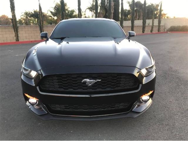 2015 Ford Mustang (CC-2110369) for sale in Cadillac, Michigan