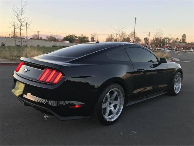 2015 Ford Mustang (CC-2110369) for sale in Cadillac, Michigan
