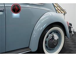 1967 Volkswagen Beetle (CC-2113707) for sale in Statesville, North Carolina