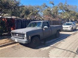 1979 Chevrolet C10 (CC-2110371) for sale in Cadillac, Michigan