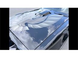 1979 Pontiac Firebird Formula Trans Am (CC-2113710) for sale in Biloxi, Mississippi