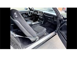 1979 Pontiac Firebird Formula Trans Am (CC-2113710) for sale in Biloxi, Mississippi