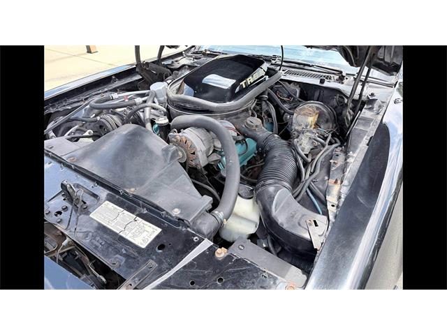 1979 Pontiac Firebird Formula Trans Am (CC-2113710) for sale in Biloxi, Mississippi