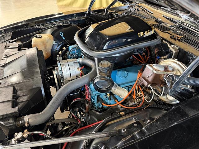 1977 Pontiac Firebird Trans Am (CC-2113761) for sale in Santa Rosa, Florida