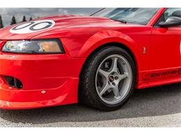 2000 Ford Mustang SVT Cobra (CC-2113766) for sale in Concord, California
