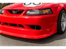2000 Ford Mustang SVT Cobra (CC-2113766) for sale in Concord, California