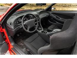 2000 Ford Mustang SVT Cobra (CC-2113766) for sale in Concord, California