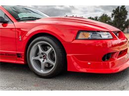 2000 Ford Mustang SVT Cobra (CC-2113766) for sale in Concord, California