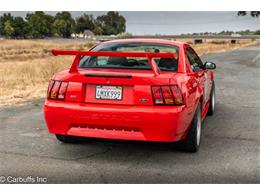 2000 Ford Mustang SVT Cobra (CC-2113766) for sale in Concord, California