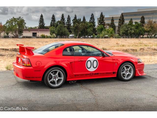 2000 Ford Mustang SVT Cobra (CC-2113766) for sale in Concord, California