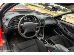 2000 Ford Mustang SVT Cobra (CC-2113766) for sale in Concord, California