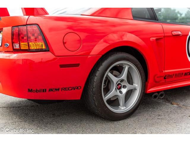 2000 Ford Mustang SVT Cobra (CC-2113766) for sale in Concord, California