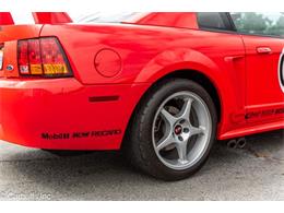 2000 Ford Mustang SVT Cobra (CC-2113766) for sale in Concord, California