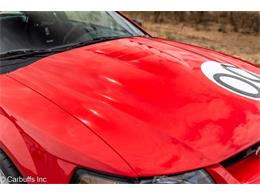 2000 Ford Mustang SVT Cobra (CC-2113766) for sale in Concord, California