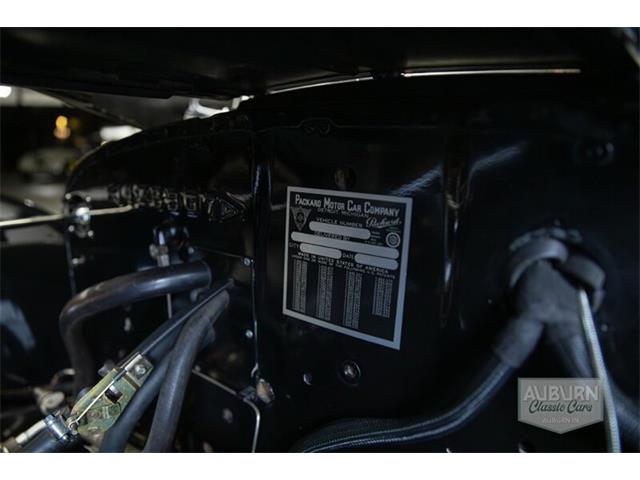 1938 Packard Super Eight (CC-2113771) for sale in Auburn, Indiana