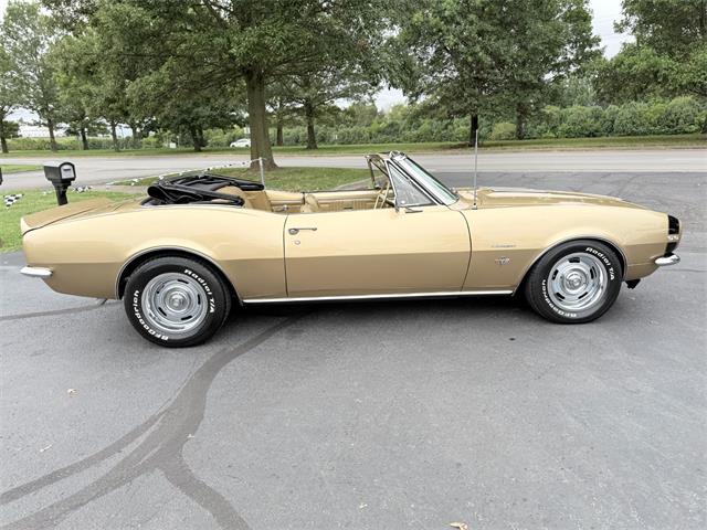1967 Chevrolet Camaro SS (CC-2113785) for sale in Paris , Kentucky