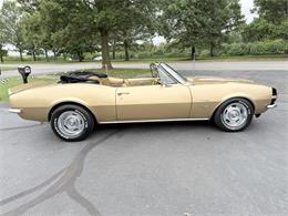 1967 Chevrolet Camaro SS (CC-2113785) for sale in Paris , Kentucky