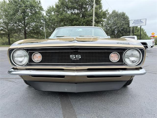 1967 Chevrolet Camaro SS (CC-2113785) for sale in Paris , Kentucky