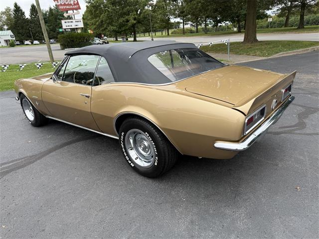 1967 Chevrolet Camaro SS (CC-2113785) for sale in Paris , Kentucky