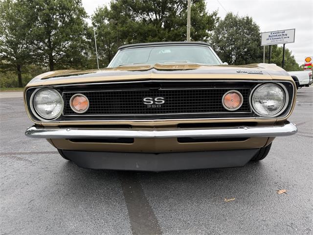 1967 Chevrolet Camaro SS (CC-2113785) for sale in Paris , Kentucky