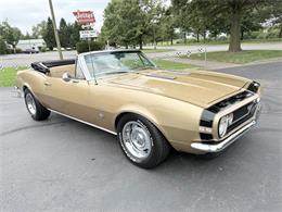 1967 Chevrolet Camaro SS (CC-2113785) for sale in Paris , Kentucky