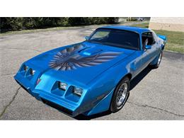 1979 Pontiac Firebird Trans Am (CC-2113821) for sale in Milford, Ohio
