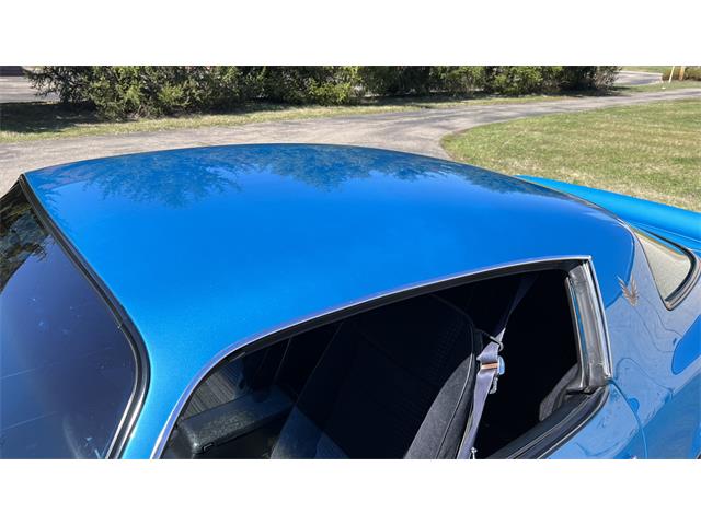 1979 Pontiac Firebird Trans Am (CC-2113821) for sale in Milford, Ohio
