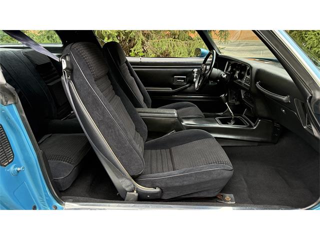 1979 Pontiac Firebird Trans Am (CC-2113821) for sale in Milford, Ohio