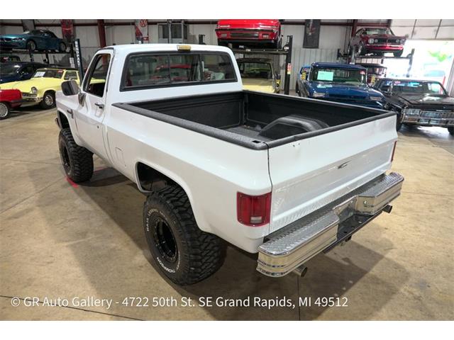 1985 Chevrolet K-10 (CC-2113861) for sale in Kentwood, Michigan