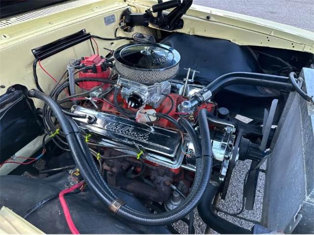 1967 Chevrolet El Camino (CC-2113905) for sale in Cadillac, Michigan