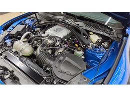 2021 Ford Mustang (CC-2113906) for sale in Mankato, Minnesota