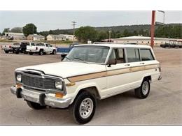 1979 Jeep Wagoneer (CC-2113911) for sale in Cadillac, Michigan