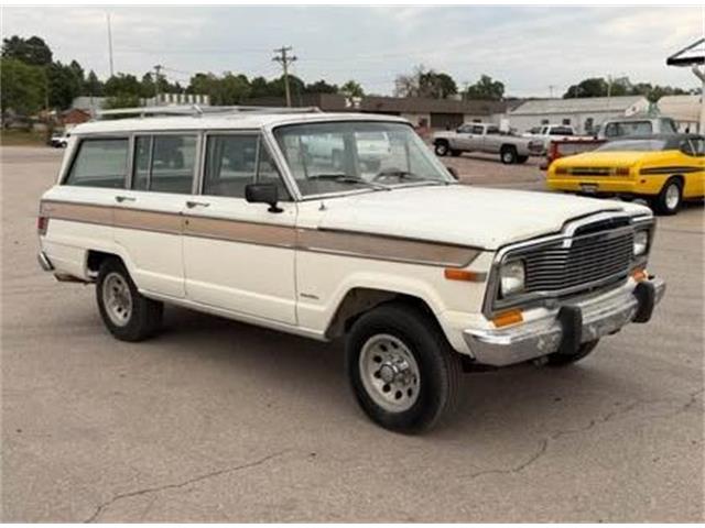1979 Jeep Wagoneer (CC-2113911) for sale in Cadillac, Michigan