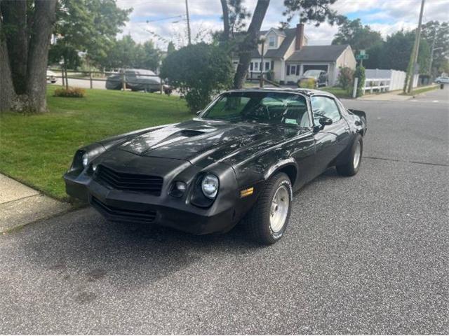 1980 Chevrolet Camaro (CC-2113914) for sale in Cadillac, Michigan