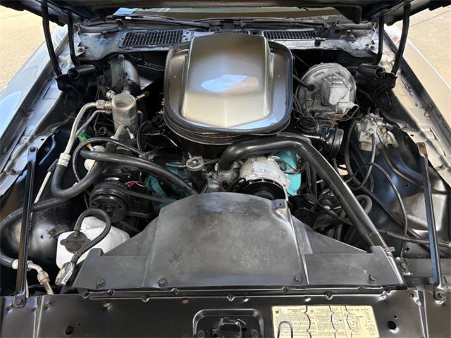 1979 Pontiac Firebird (CC-2113928) for sale in Bradenton, Florida